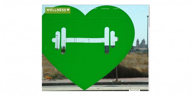Proyectos - Wellnes, Health & Fitness