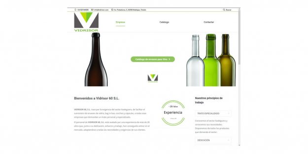 Proyectos - Vidrisor